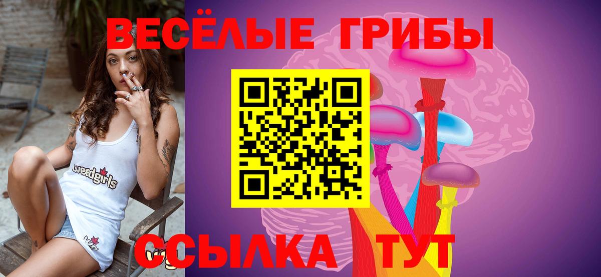 Галлюциногенные грибы Magic Shrooms  Вход с VPN  Псилоцибиновые грибы MAGIC MUSHROOMS  Гулькевичи 